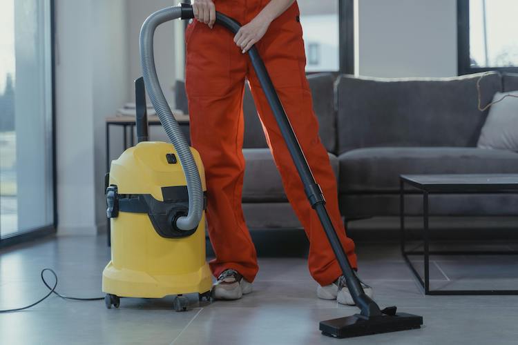 Mint Services Vacuum Cleaning